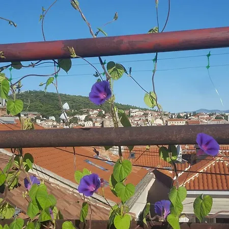 Studiolo Belvedere سبليت
